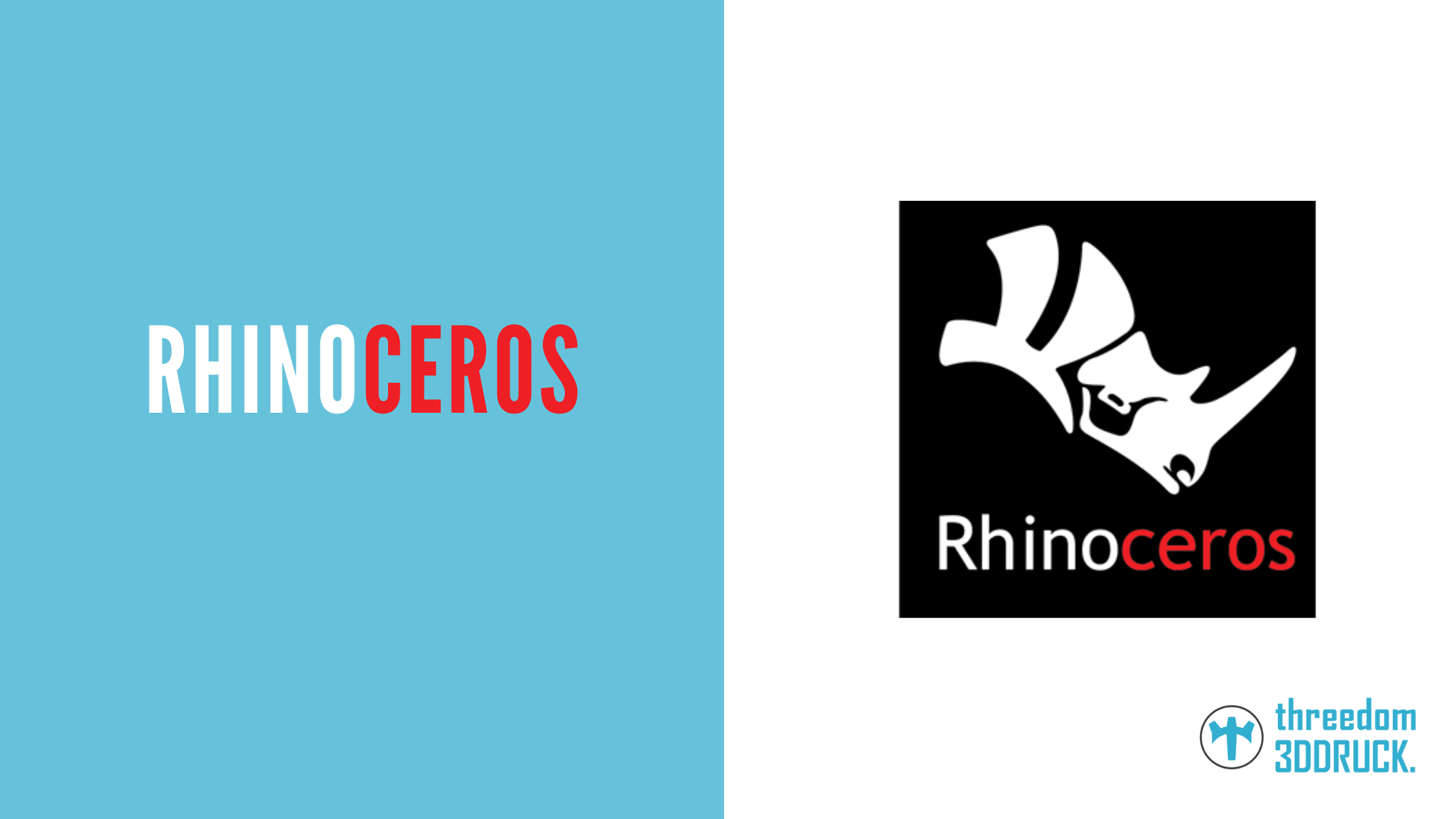 Rhino(ceros): Definition, functionality and scope